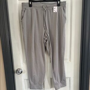 American Eagle Outfitters Gray Sweatpants with Elastic Waistband